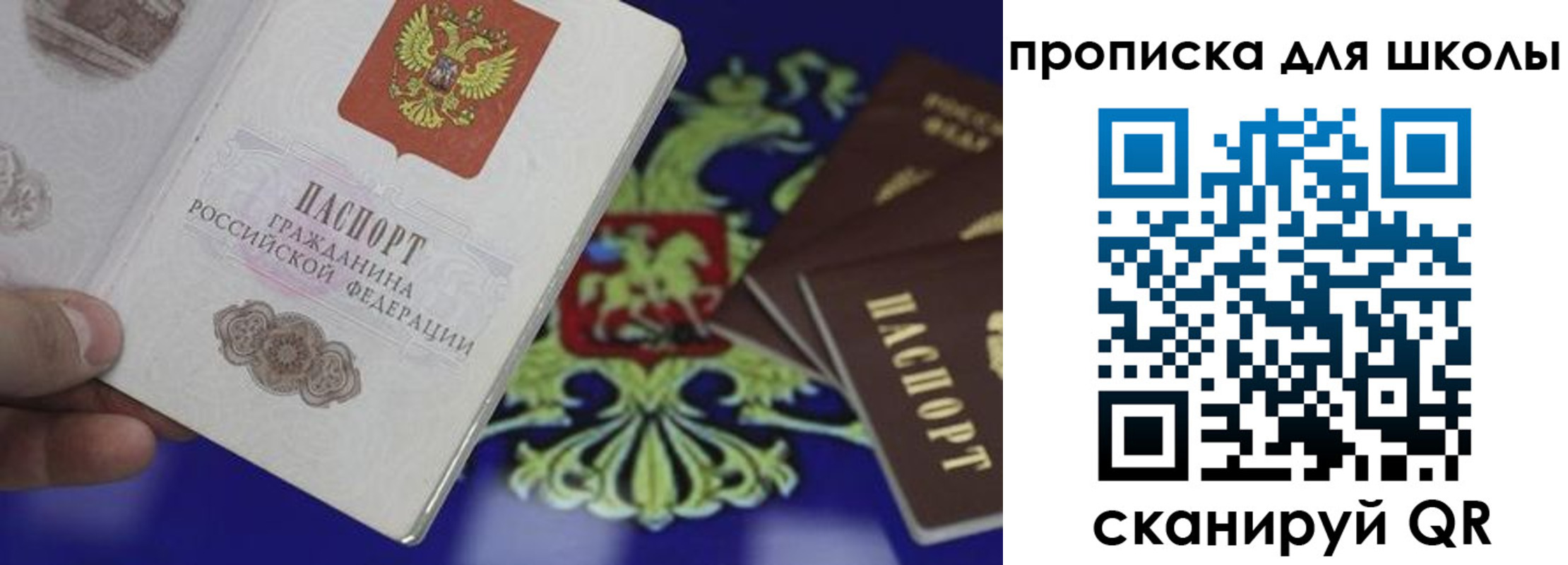 прописка паспорт в Гвардейске